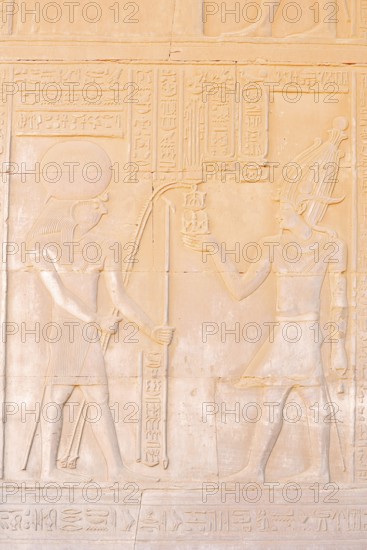 Relief of the falcon-headed god of light and sky Haroeris or Horus, double temple of Kom Ombo, Kom Ombo, Egypt