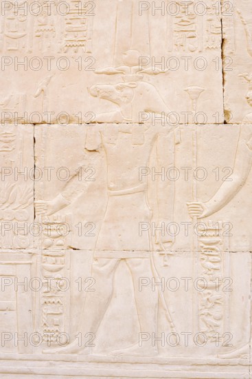 Relief of the crocodile god Sobek, double temple of Kom Ombo, Kom Ombo, Egypt