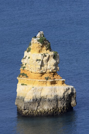 Rock in the sea, Praia do Camilo, Lagos, Algarve, Portugal