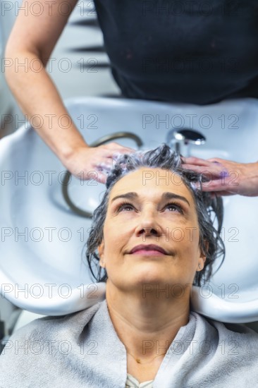 Woman with gray hair receiving a shampoo and head massage from a hairstylist at a modern hair salon, experiencing professional care and relaxation during a beauty treatment
