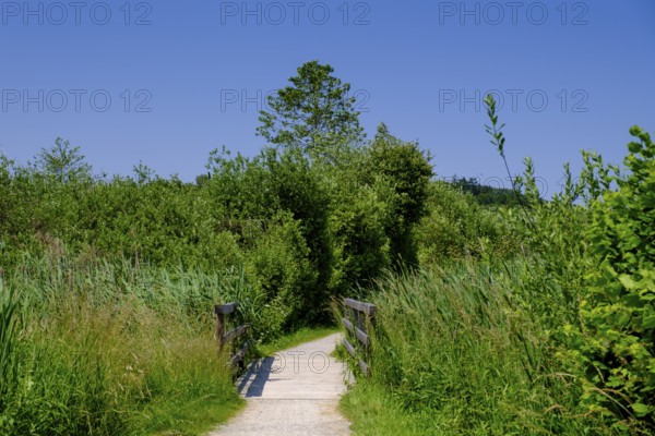 Seerundweg am Seeoner See, Seeon, Chiemgau, Upper Bavaria, Bavaria, Germany