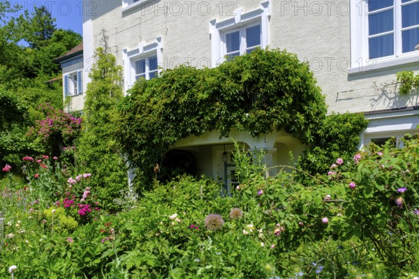 Blumengarten, Häuser am Seeoner See, vineyard, Seeon, Chiemgau, Upper Bavaria, Bavaria, Germany