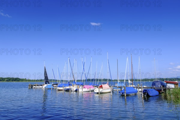 Segelclub Harras Chiemsee, Hafen am Chiemsee bei Stock, Prien, Chiemgau, Upper Bavaria, Bavaria, Germany