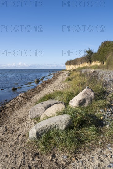 Boulders on the banks of the Saal, cliffs, Klein Zicker, Mönchgut, Rügen island, Baltic Sea, Mecklenburg-Western Pomerania, Germany