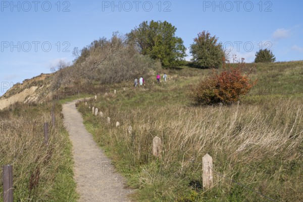 Hikers on the trail above the steep coast, Hochuferweg, autumn colors, Klein Zicker, Mönchgut, Rügen island, Baltic Sea, Mecklenburg-Western Pomerania, Germany