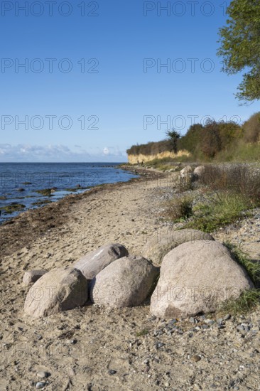 Boulders on the banks of the Saal, tourists on the coast, cliffs, Klein Zicker, Mönchgut, Rügen island, Baltic Sea, Mecklenburg-Western Pomerania, Germany