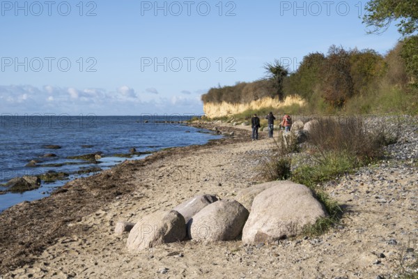 Boulders on the banks of the Saal, tourists on the coast, cliffs, Klein Zicker, Mönchgut, Rügen island, Baltic Sea, Mecklenburg-Western Pomerania, Germany