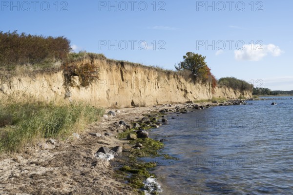 Cliffs on the shores of the Baltic Sea, autumn colors, Klein Zicker, Mönchgut, Rügen island, Baltic Sea, Mecklenburg-Western Pomerania, Germany