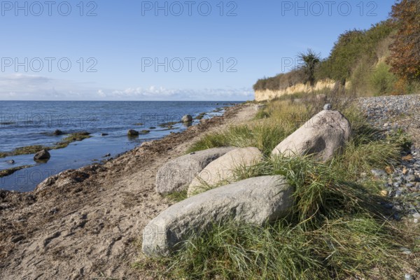 Boulders on the banks of the Saal, cliffs, Klein Zicker, Mönchgut, Rügen island, Baltic Sea, Mecklenburg-Western Pomerania, Germany