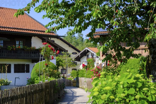 Bauernhöfe, Seebruck am Chiemsee, Chiemgau, Upper Bavaria, Bavaria, Germany