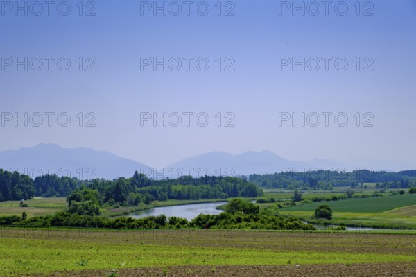 Alz between Seebruck and Truchtlaching, Chiemgau, Upper Bavaria, Bavaria, Germany