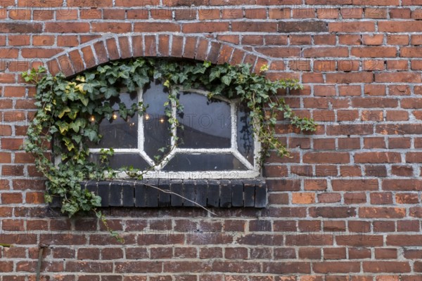 Weathered window in a brick wall surrounded by ivy and plants, North Rhine-Westphalia, Germany