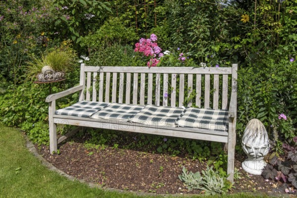 Wooden bench with checkered cushions in a blooming garden surrounded by plants and colorful flowers, Münsterland, North Rhine-Westphalia, Germany