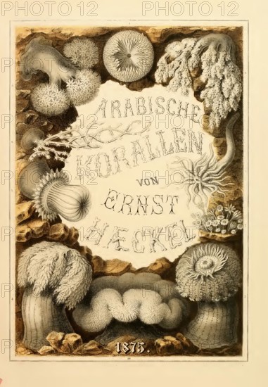 Arabian corals: a trip to the coral banks of the Red Sea and a glimpse into the life of coral thieves: Popular lecture with scientific findings