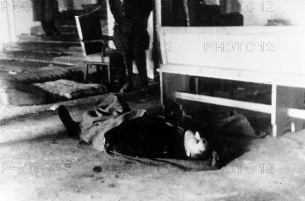 The wrong Hitler, Reich Chancellery Wilhelmstraße 77, Berlin in May 1945 J. Chaldej about this photo: This is a very interesting photo: The wrong Hitler in front of the Reich Chancellery. Many Germans were simply stupid. The war was over, Hitler was broken, and yet some wore his beard and crown. Our soldiers shouted: “Oh, look, that's Hitler! 'and shot him. Twelve to fifteen Hitlers were brought to the headquarters every day, all with moustaches and slanted heads