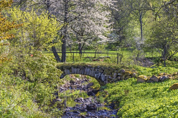 Old arch bridge over a stream in a lush green meadow landscape a sunny spring day, Sweden