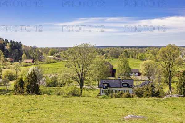 Beautiful landscape view with meadows and fields and residential houses in the countryside on a beautiful sunny spring day, Sweden