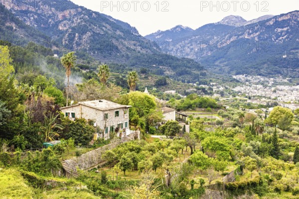 View at a country house with a fruit orchard and lush green trees in a mountain valley on Mallorca, Soller, Mallorca, Spain