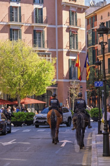 Mounted police officers on horses on a city street with people and cars, Palma de Mallorca, Mallorca, Spain