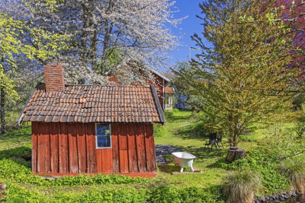 Old red wooden shed with a bathtub outside in a garden with lush green budding trees a sunny spring day, Sweden