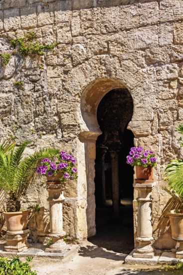 Old Moorish building with a vault and beautiful flowers in terracotta pots in the sunshine at the Arab Baths, Palma de Mallorca, Mallorca, Spain
