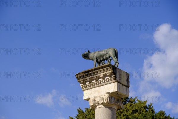 Roman she-wolf with Romolus and Remus, Basilica of Santa Maria Assunta of Aquileia, St. Hermagor, Aquileia near Grado, Julian Friuli, Adriatic Sea, Italy