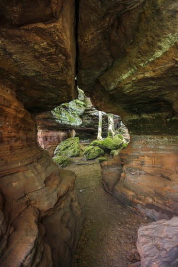 Sandstone Cliffs, Old Castle Rock, near Eppenbrunn, Palatinate Forest, Rhineland-Palatinate, Germany