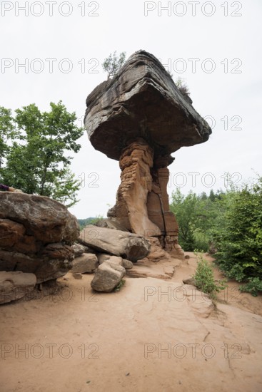 Sandstone rocks, Teufelstisch, near Hinterweidenthal, Dahner Felsenland, Palatinate Forest, Rhineland-Palatinate, Germany