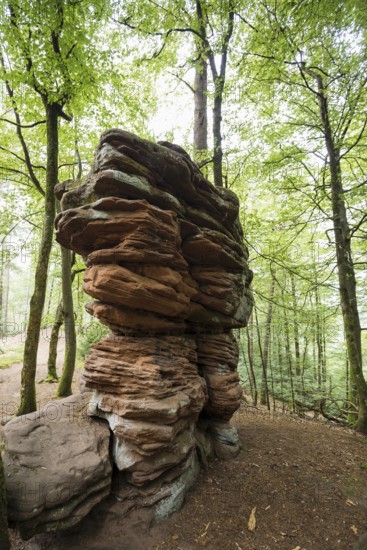 Sandstone rocks, near Hinterweidenthal, Dahner Felsenland, Palatinate Forest, Rhineland-Palatinate, Germany