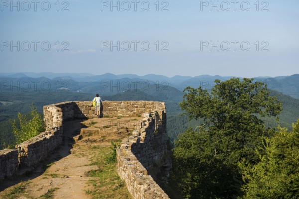 Wegelnburg ruins, near Nothweiler, Palatinate Forest, Rhineland-Palatinate, Germany