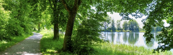 Wanderweg am Erlensee, Erlensee, near Schechen, Upper Bavaria, Bavaria, Germany