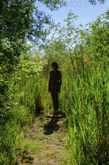 Skulpturenweg, Obinger See, Obing, Chiemgau, Upper Bavaria, Bavaria, Germany