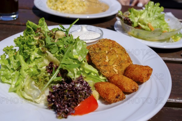 Vegetarian dish, potato wedges with salad, food, Seiser Alm, Seiserhof, bei Bernau über dem Chiemsee, Chiemgau, Upper Bavaria, Bavaria, Germany