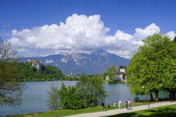 Bled Castle, above Bled, Lake Bled, Slovenia