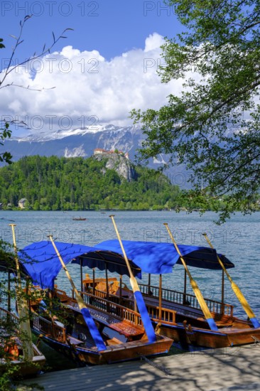 Tourist boats, rowing boats, Bled, Lake Bled, Slovenia