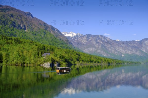 Bohinjsko jezero, Lake Bohinj, Upper Carniola, Slovenia