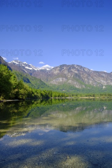 Westende, lakeside, Bohinjsko jezero, Lake Wochein, Bohinj, Upper Carniola, Slovenia