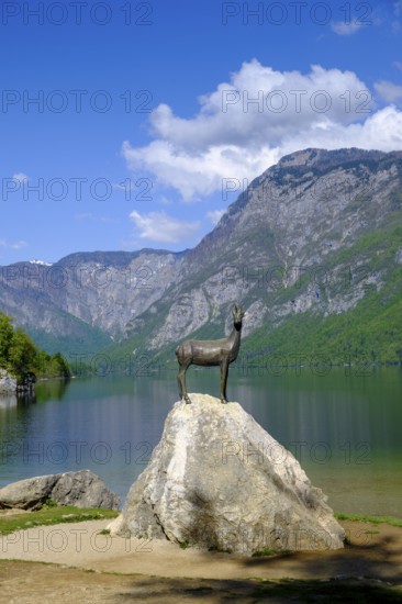Chamois, Zlatorog, sculpture, Bohinjsko jezero, Lake Wochein, Bohinj, Upper Carniola, Slovenia