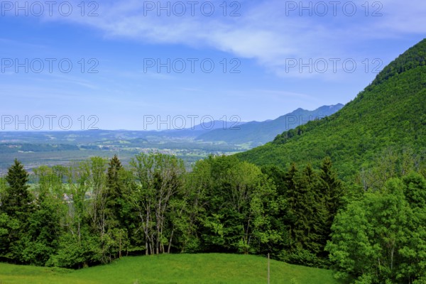 Am Adersberg, bei Grassau, Chiemgau, Upper Bavaria, Bavaria, Germany
