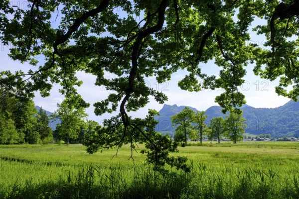 Am Naturerlebnispfad, Aschau, Chiemgau, Upper Bavaria, Bavaria, Germany