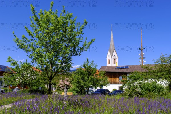 Pfarrkirche Sankt Rupert, Amerang, Chiemgau, Upper Bavaria, Bavaria, Germany