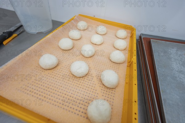 Dozen dough balls on orange tray in bakery environment, baking rolls, Haselstaller Hof, Gechingen, Germany