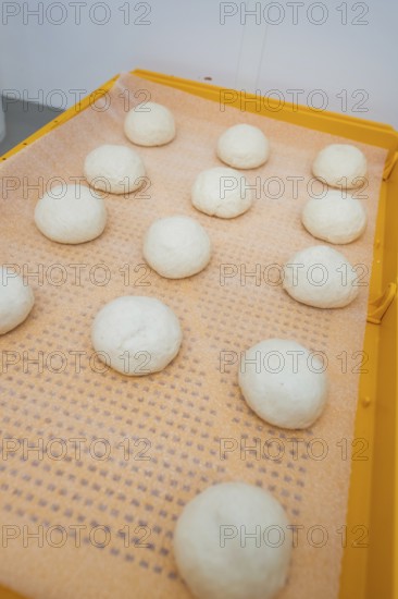 White dough balls on orange baking tray in a kitchen, baking rolls, Haselstaller Hof, Gechingen, Germany