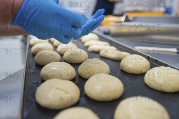 Baker coating dough pieces on a conveyor belt, baking rolls, Haselstaller Hof, Gechingen, Germany