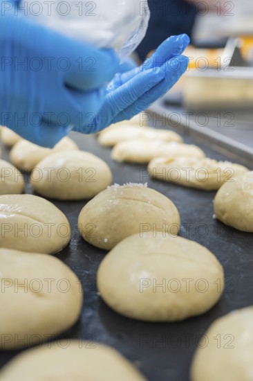 Baker hand with glove spread dough pieces on baking tray, bake rolls, Haselstaller Hof, Gechingen, Germany