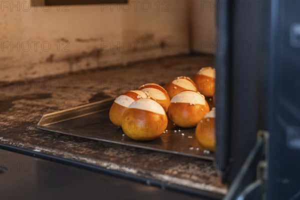 Round rolls baking in the oven on a tray in the bakery, baking rolls, Haselstaller Hof, Gechingen, Germany