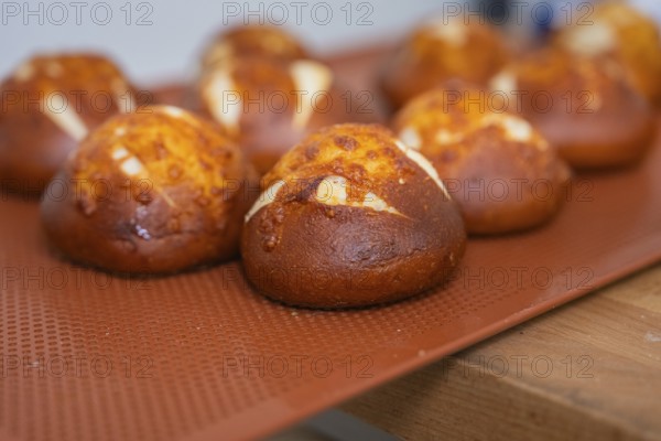 Close-up of freshly baked rolls on a baking tray, baking rolls, Haselstaller Hof, Gechingen, Germany