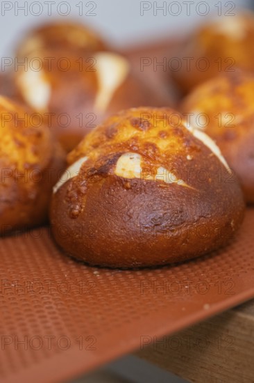 Close-up of freshly baked rolls with golden brown crust, baking rolls, Haselstaller Hof, Gechingen, Germany