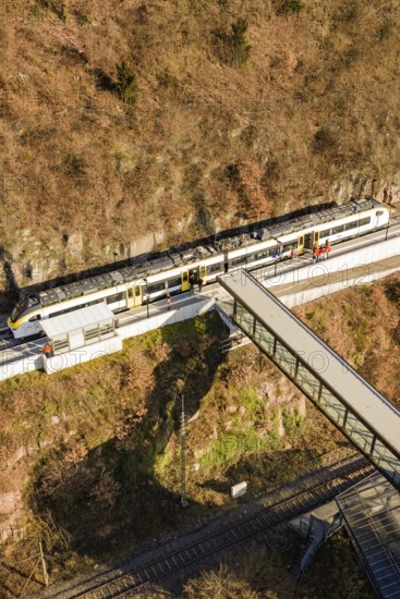 A train below a footbridge, along an autumnal climb, test run on the new Hermann-Hesse railway with Siemens Mireo Plus B trains, Calw, Germany