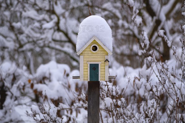 Snowy Scandinavian birdhouse, birdhouses in winter, Stuttgart, Baden-Württemberg, Germany